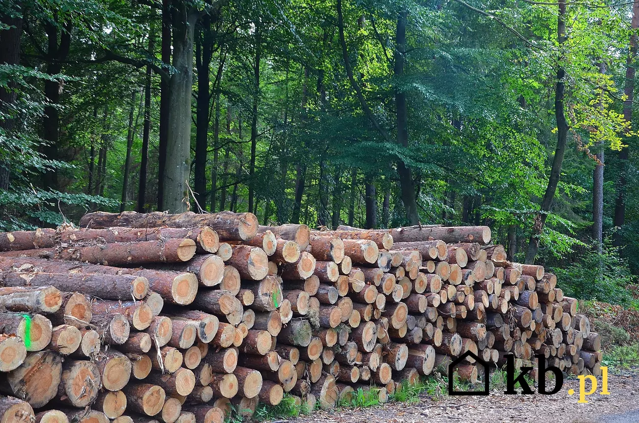 Premium Brennholz Lieferung