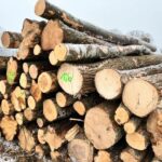 Kiefernstammholz – 5 LKW-Ladungen (250 rm) – PEFC-zertifiziert