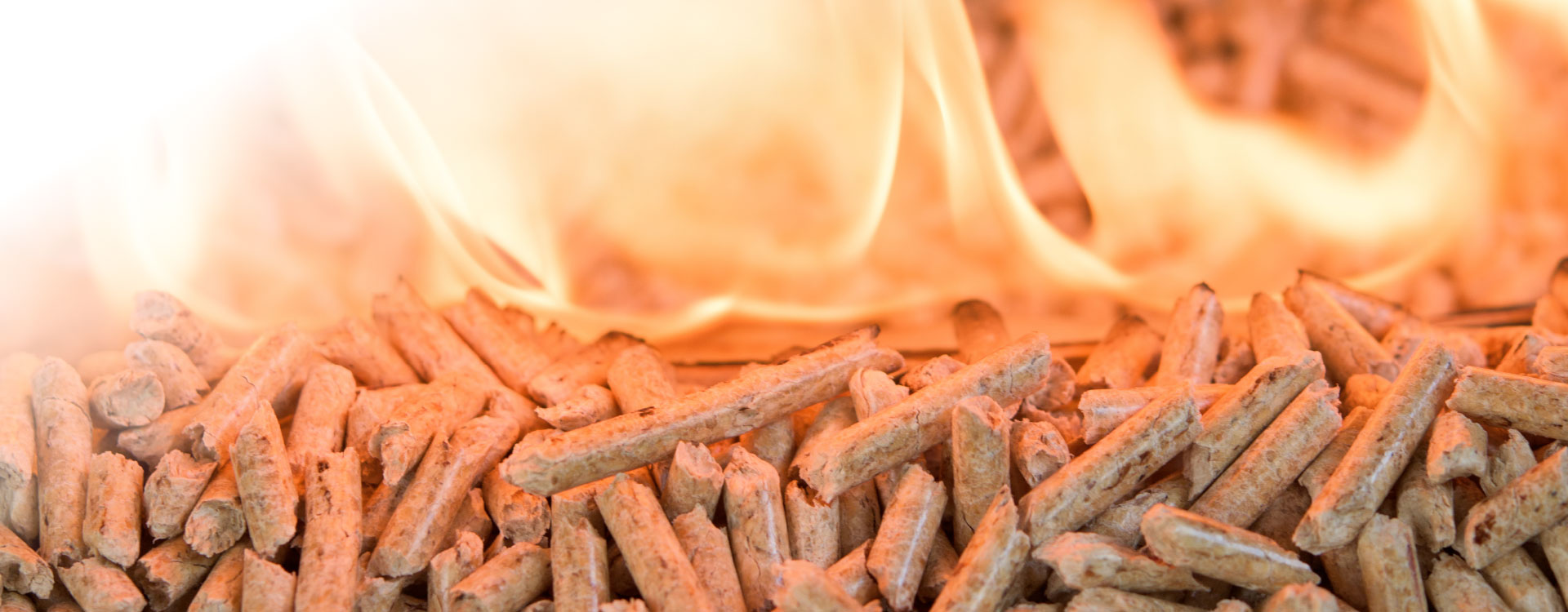 Premium Holzpellets