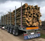 Nadelholzstammholz (gemischt) – 2 LKW-Ladung (100 rm) – PEFC