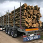 Nadelholzstammholz (gemischt) – 5 LKW-Ladungen (250 rm) – PEFC
