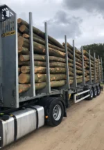 Nadelholzstammholz (gemischt) – 2 LKW-Ladung (100 rm) – PEFC – Bild 2