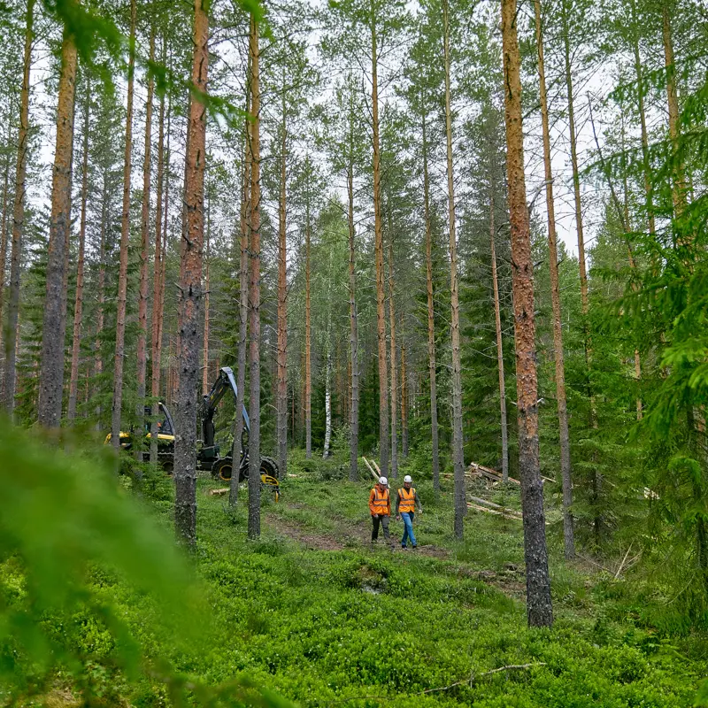 Unser Sägewerk in Aktion